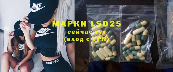 сатива Верея