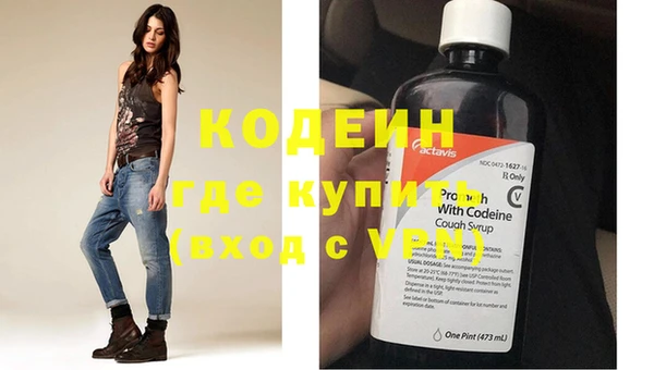 сатива Верея