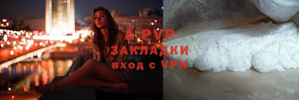 сатива Верея