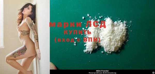 сатива Верея
