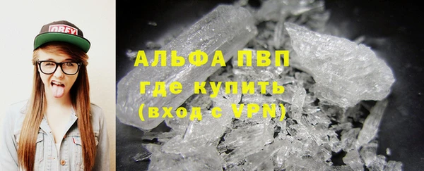сатива Верея
