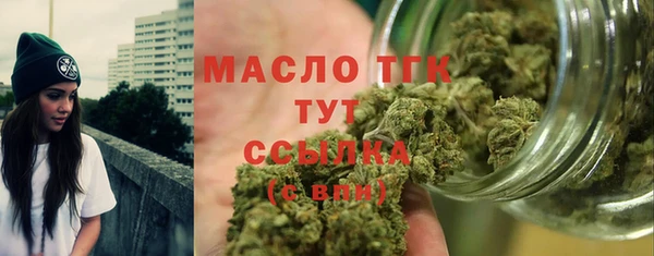 сатива Верея